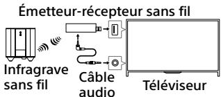 SONY SWF-BR100 - Configuration du système sans fil - 1