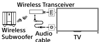 SONY SWF-BR100 - On cleaning - 1