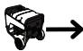 BRIGGS & STRATTON BRIGGS & STRATTON PRO 6500 - DANGER - 4