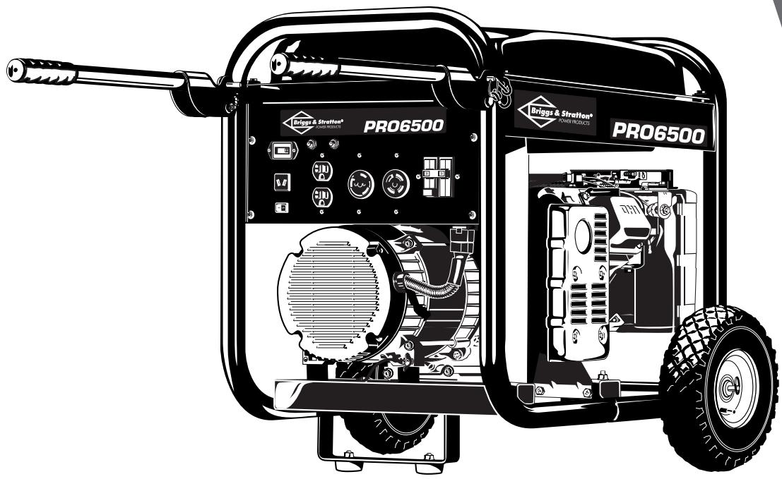 BRIGGS & STRATTON BRIGGS & STRATTON PRO 6500 - 1