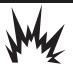 BRIGGS & STRATTON BRIGGS & STRATTON PRO 6500 - WARNING - 2
