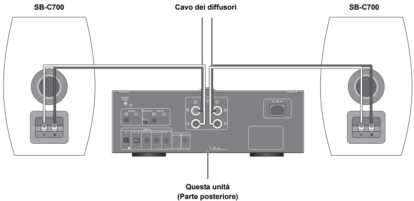 PANASONIC SU-C700EG - Collegamento diffusore - 1