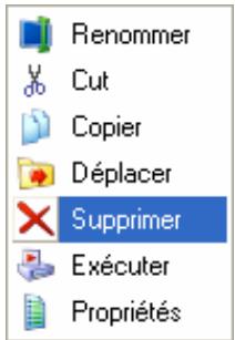 Renommer Couper Copier Déplacer Supprimer Exécuter Propriétés