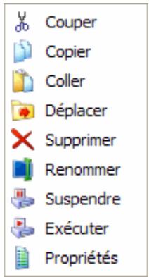 Couper Copier Coller Déplacer Supprimer Renommer Suspendre Exécuter Propriétés