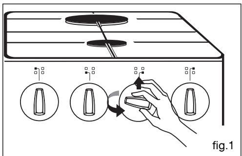 BRANDT KG 1050 W - (suivant modulo) - 1