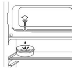 BRANDT TF12700 - ABTAUEN - 1