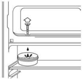 BRANDT TF12700 - DEFROSTING - 1