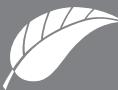 BRANDT C31716 - Okpykaioa cpeia - 1