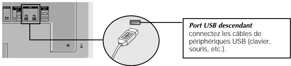 LG M4210N-B21 - Raccordement du câble USB (universal serial bus) - 1