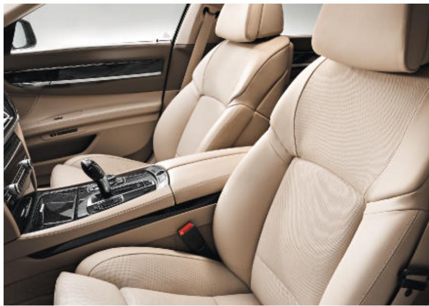BMW 730D - □ Services Télematiques BMW ConnectedDrive - 11