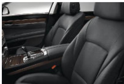 BMW 730D - □ Services Télematiques BMW ConnectedDrive - 10