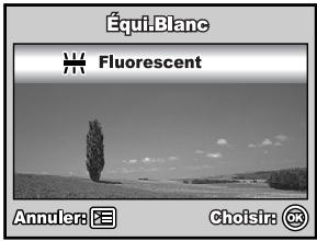 Équi Blanc Fluorescent Annuler: E Choisir: OK