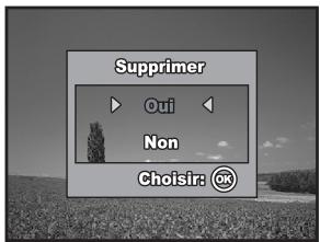 Supprimer Oui Non Choisir: OK