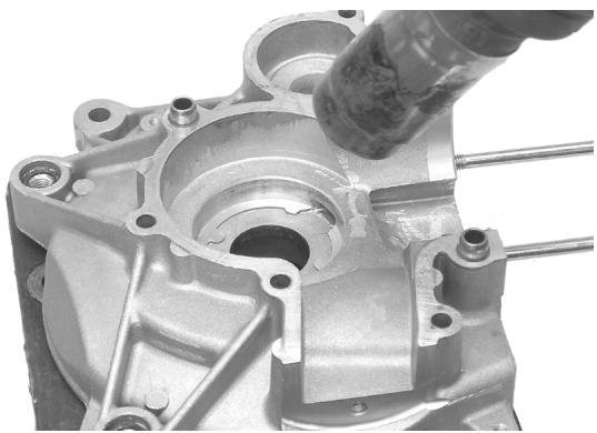 PIAGGIO LIBERTY - Loctite 510 Packing fluid - 1