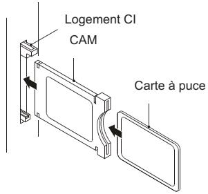 HAIER LE32F6000T - Interface commune - 1
