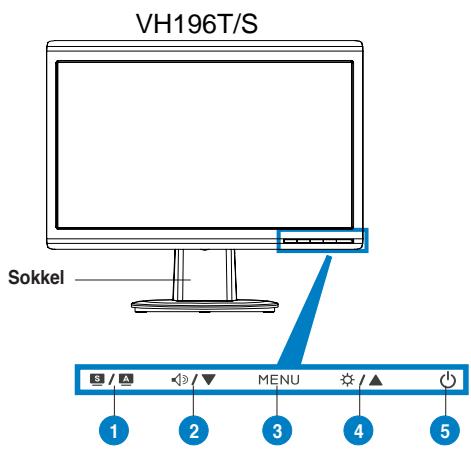 ASUS VH196D - Forfra - 1