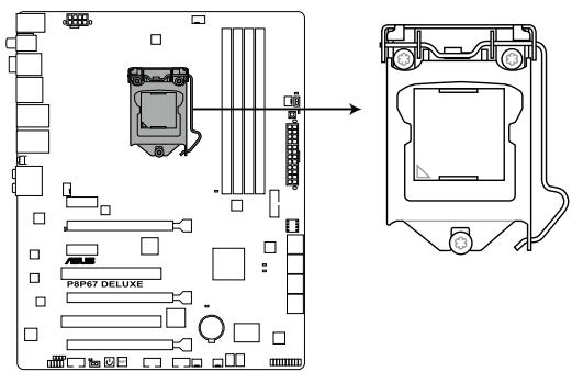 ASUS P8P67 WS REVOLUTION, P8P67 DELUXE - Contenu du diagramme - 1