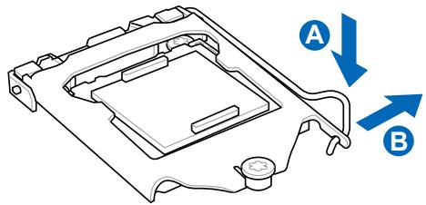 ASUS P8P67 WS REVOLUTION, P8P67 DELUXE - Installation du CPU - 2