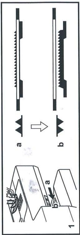 SINGER CELIA - □ Point overlock - 10