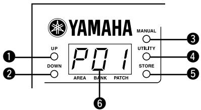 YAMAHA AGSTOMP - Section affichage et principale - 1