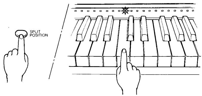 YAMAHA CVP-70-CVP-50 - Sélectionner la position de split - 1