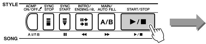 YAMAHA DGX-505-DGX-305 - Arrêt immédiat - 1