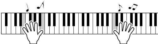 YAMAHA DGX-505-DGX-305 - Jouez au clavier. - 1
