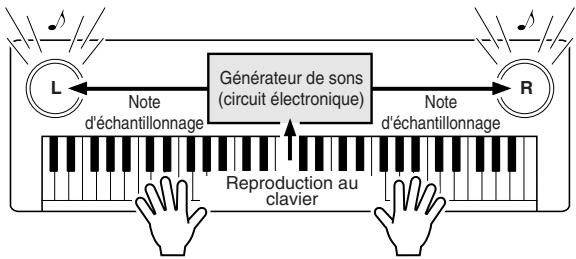 YAMAHA DGX-505-DGX-305 - Qu'est-ce que la norme MIDI ? - 2