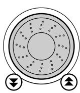 YAMAHA DGX-505-DGX-305 - Métronome - 4