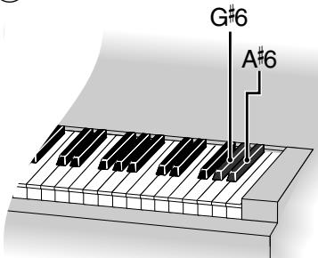 YAMAHA SILENTU - REMARQUE: - 1