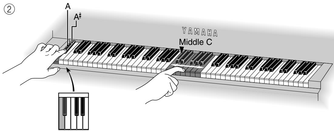 YAMAHA SILENTU - Accorder vers le bas - 1