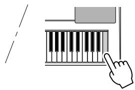 YAMAHA YPT-320 - Suppression de morceaux utilisés - 6