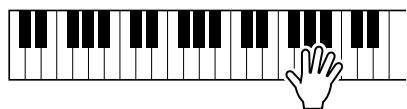 YAMAHA YPT-320 - Application de la fonction harmony - 7