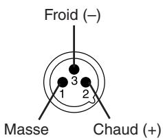 Froid (-) Masse Chaud (+)