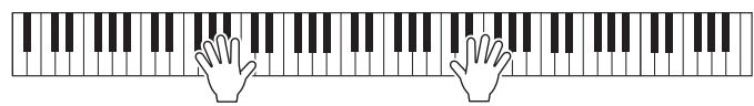 YAMAHA CVP-609/605 - Lancez l'enregistrement. - 2