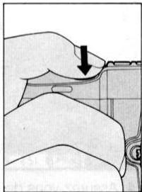 NIKON F-801S - Prise de vue d'un sujet principal decentré En mode auto ponctuel - 5