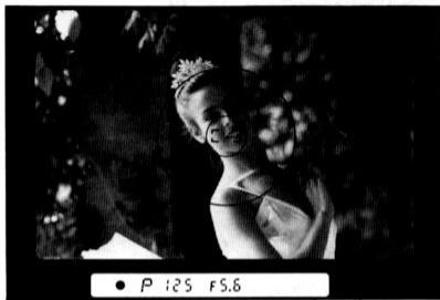 NIKON F-801S - Prise de vue d'un sujet principal decentré En mode auto ponctuel - 3