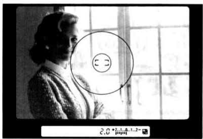 NIKON F-801S - 2.0+²..1..2- - 2