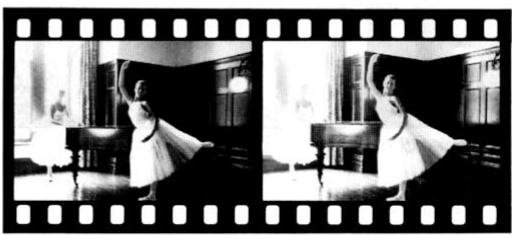 NIKON F-801S - Si le F-801s n'est pas mentionné dans la notice d'utilisation de votre dos multi-controihe MF-21. - 2