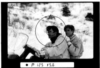 NIKON F-801S - Prise de vue d'un sujet principal decentré En mode auto ponctuel - 10