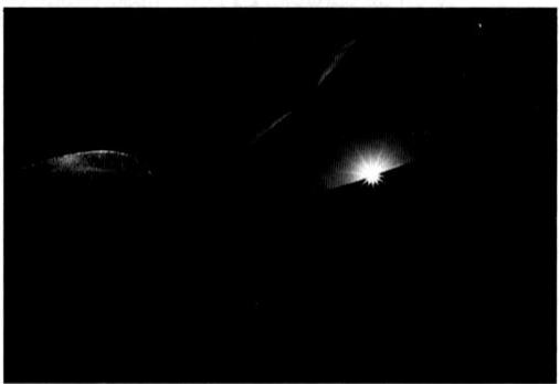 NIKON F-801S - Eclairage frontal du sujet sur un fond nombre - 2