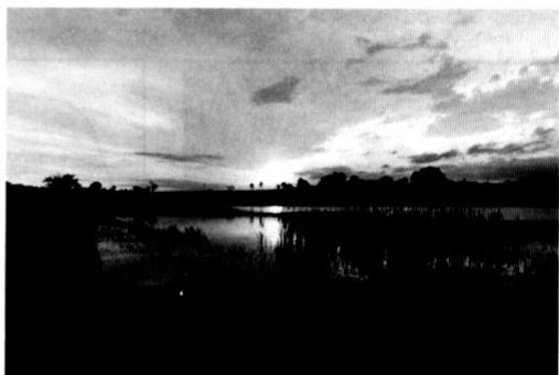 NIKON F-801S - Coughers de soleil - 2