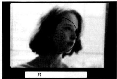 NIKON F-801S - En mode manuel d'exposition - 3