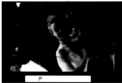 NIKON F-801S - Prise de vue d'un sujet principal decentré En mode auto ponctuel - 1