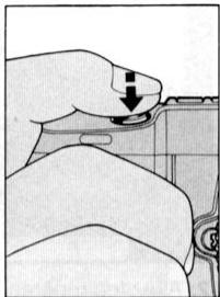 NIKON F-801S - Prise de vue d'un sujet principal decentré En mode auto ponctuel - 2