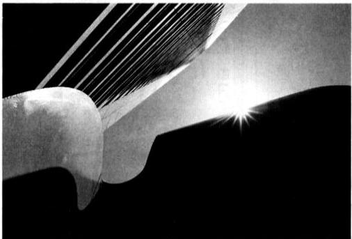 NIKON F-801S - Eclairage frontal du sujet sur un fond nombre - 1