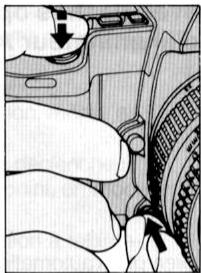 NIKON F-801S - Prise de vue d'un sujet principal decentré En mode auto ponctuel - 11