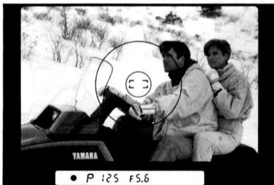 NIKON F-801S - Prise de vue d'un sujet principal decentré En mode auto ponctuel - 8