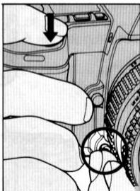 NIKON F-801S - Prise de vue d'un sujet principal decentré En mode auto ponctuel - 9