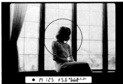 NIKON F-801S - En mode manuel d'exposition - 11